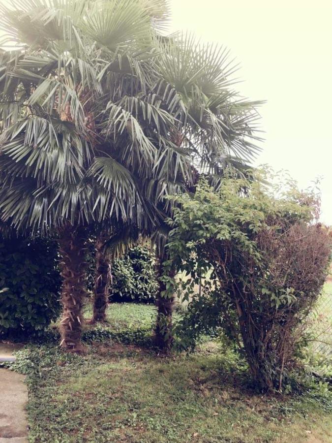Villa Sofia Pramaggiore Eksteriør billede