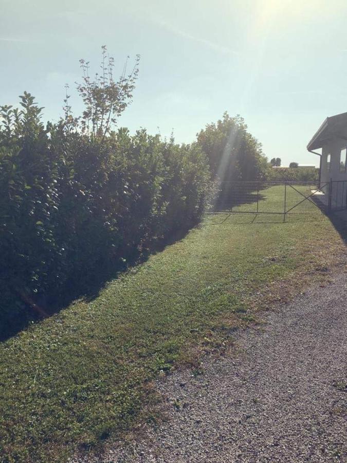 Villa Sofia Pramaggiore Eksteriør billede