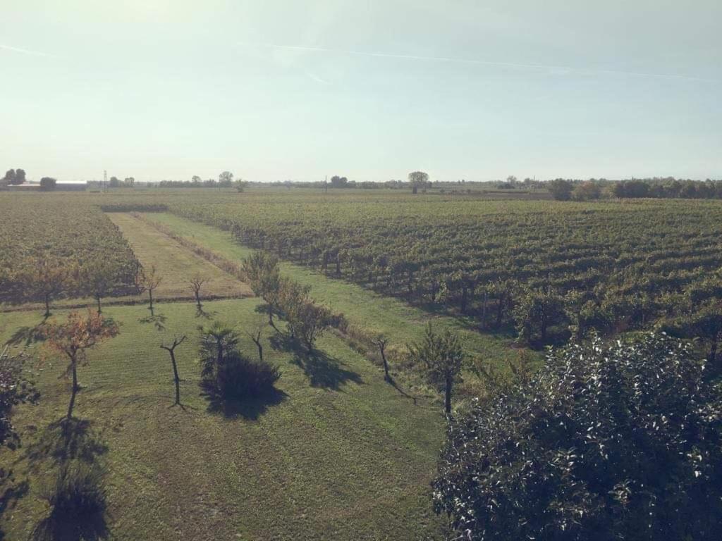 Villa Sofia Pramaggiore Eksteriør billede